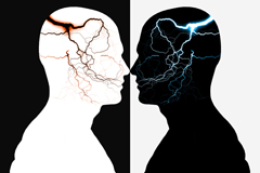 Relationships and the Brain