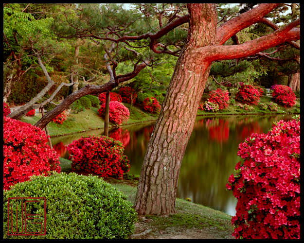 Byodo-In