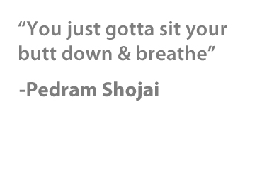 Pedram-Shojai-quotes