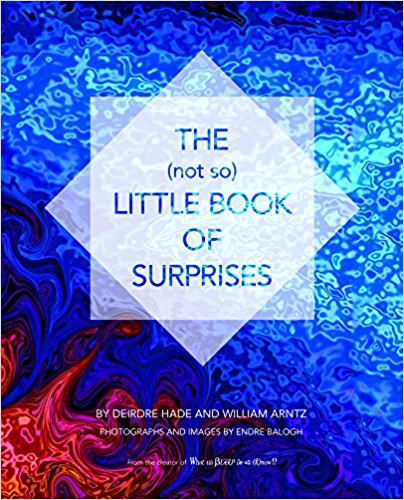 little book of surprises cover